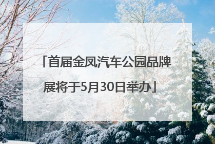 首届金凤汽车公园品牌展将于5月30日举办