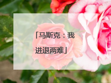 马斯克：我进退两难