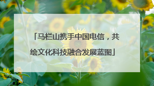 马栏山携手中国电信，共绘文化科技融合发展蓝图