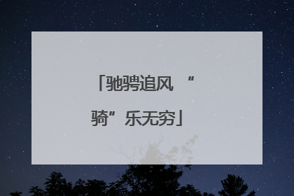 驰骋追风 “骑”乐无穷