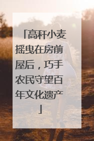高秆小麦摇曳在房前屋后，巧手农民守望百年文化遗产
