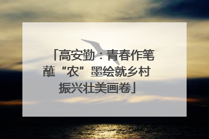 高安勤：青春作笔蘸“农”墨绘就乡村振兴壮美画卷