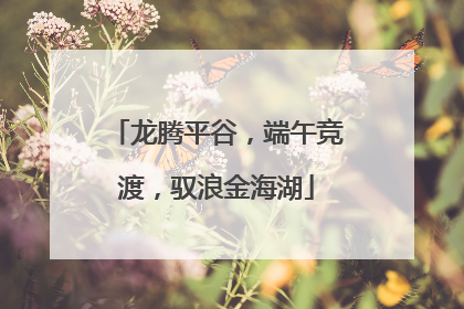 龙腾平谷，端午竞渡，驭浪金海湖