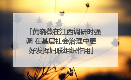 黄晓薇在江西调研时强调 在基层社会治理中更好发挥妇联组织作用