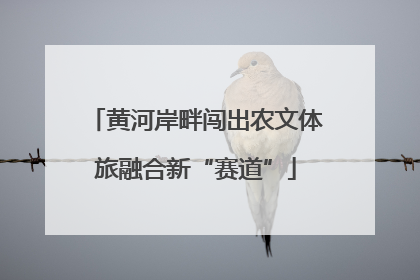 黄河岸畔闯出农文体旅融合新“赛道”