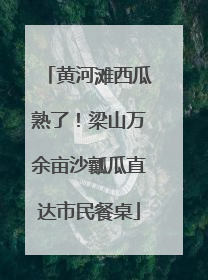 黄河滩西瓜熟了！梁山万余亩沙瓤瓜直达市民餐桌