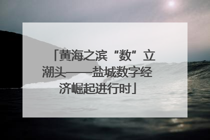 黄海之滨“数”立潮头——盐城数字经济崛起进行时
