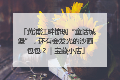 黄浦江畔惊现“童话城堡”，还有会发光的沙画包包？｜宝藏小店