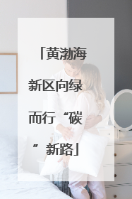 黄渤海新区向绿而行“碳”新路