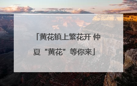 黄花镇上繁花开 仲夏“黄花”等你来