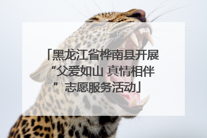 黑龙江省桦南县开展“父爱如山 真情相伴”志愿服务活动