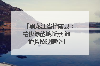 黑龙江省桦南县：精修绿韵绘新景 细护芳枝映晴空