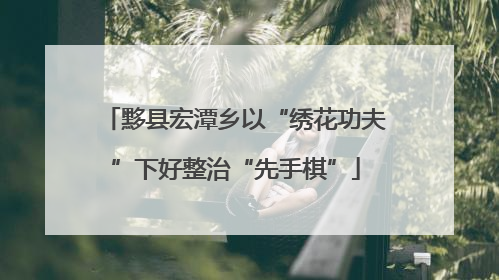 黟县宏潭乡以“绣花功夫”下好整治“先手棋”