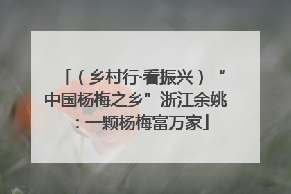 （乡村行·看振兴）“中国杨梅之乡”浙江余姚：一颗杨梅富万家
