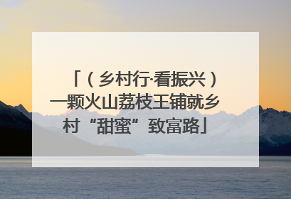 （乡村行·看振兴）一颗火山荔枝王铺就乡村“甜蜜”致富路