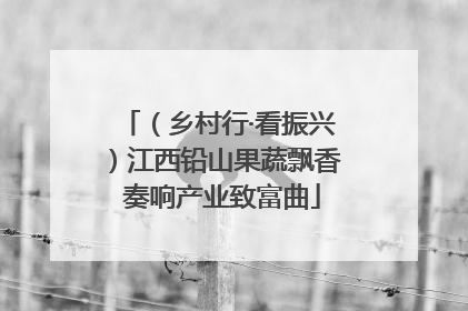 （乡村行·看振兴）江西铅山果蔬飘香 奏响产业致富曲