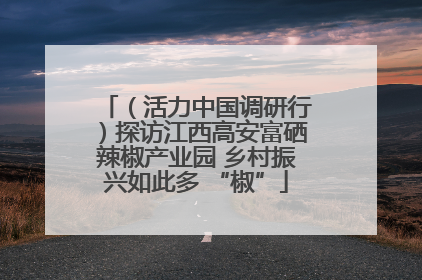 （活力中国调研行）探访江西高安富硒辣椒产业园 乡村振兴如此多 “椒”