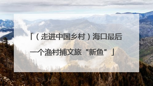 （走进中国乡村）海口最后一个渔村捕文旅“新鱼”