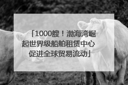1000艘！渤海湾崛起世界级船舶租赁中心 促进全球贸易流动