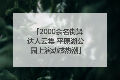 2000余名街舞达人云集 平原湖公园上演动感热潮