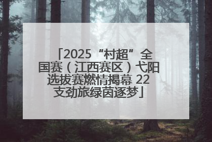 2025“村超”全国赛（江西赛区）弋阳选拔赛燃情揭幕 22支劲旅绿茵逐梦
