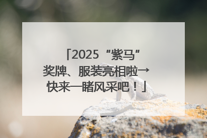 2025“紫马”奖牌、服装亮相啦→快来一睹风采吧！