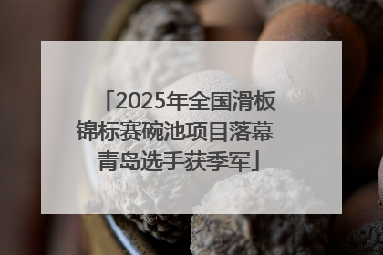 2025年全国滑板锦标赛碗池项目落幕 青岛选手获季军