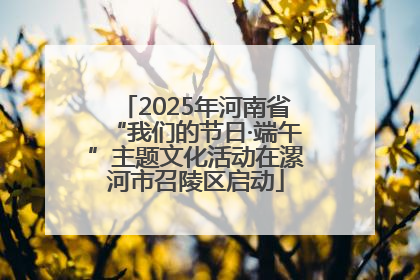 2025年河南省“我们的节日·端午”主题文化活动在漯河市召陵区启动