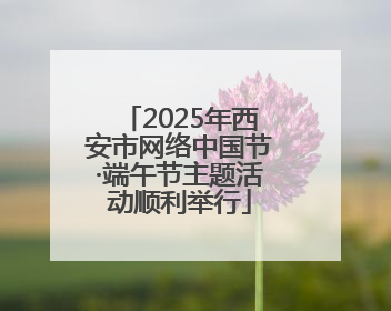 2025年西安市网络中国节·端午节主题活动顺利举行