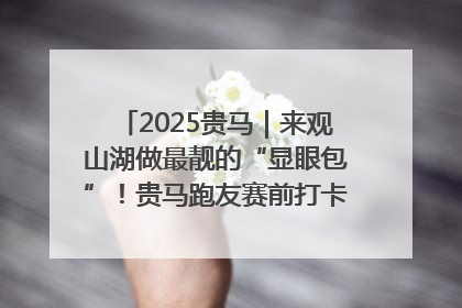 2025贵马｜来观山湖做最靓的“显眼包”！贵马跑友赛前打卡点燃奔跑热情
