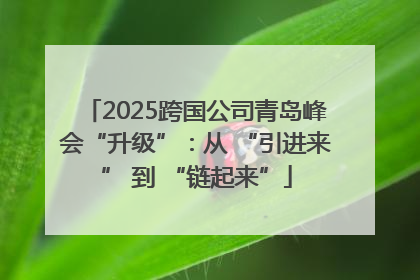 2025跨国公司青岛峰会“升级”：从 “引进来” 到 “链起来”