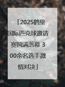2025鹤壁国际匹克球邀请赛圆满落幕 300余名选手激情对决