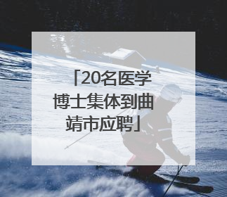 20名医学博士集体到曲靖市应聘