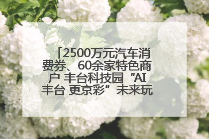 2500万元汽车消费券、60余家特色商户 丰台科技园“AI丰台 更京彩”未来玩家市集活动正式开幕
