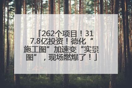 262个项目！317.8亿投资！德化“施工图”加速变“实景图”，现场燃爆了！