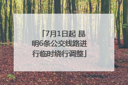 7月1日起 昆明6条公交线路进行临时绕行调整