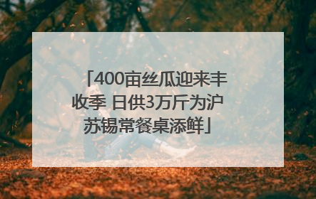 400亩丝瓜迎来丰收季 日供3万斤为沪苏锡常餐桌添鲜