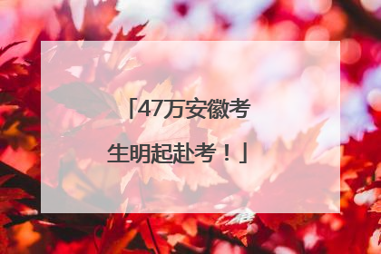 47万安徽考生明起赴考！