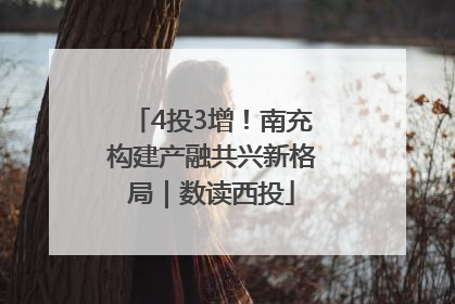4投3增！南充构建产融共兴新格局｜数读西投