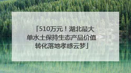 510万元！湖北最大单水土保持生态产品价值转化落地孝感云梦