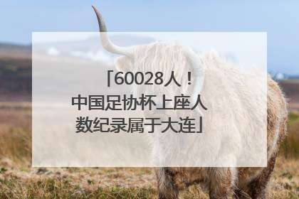 60028人！中国足协杯上座人数纪录属于大连