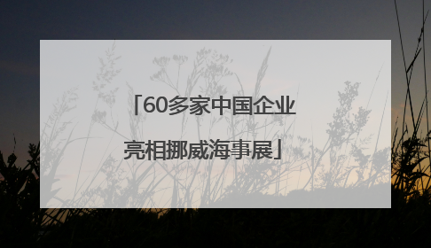 60多家中国企业亮相挪威海事展