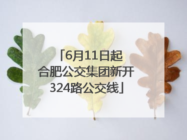 6月11日起 合肥公交集团新开324路公交线