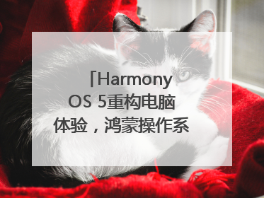 HarmonyOS 5重构电脑体验，鸿蒙操作系统在电脑端首次亮相丨新经济观察